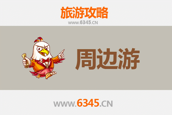 成都青羊区深度游攻略：古韵与现代的完美交融