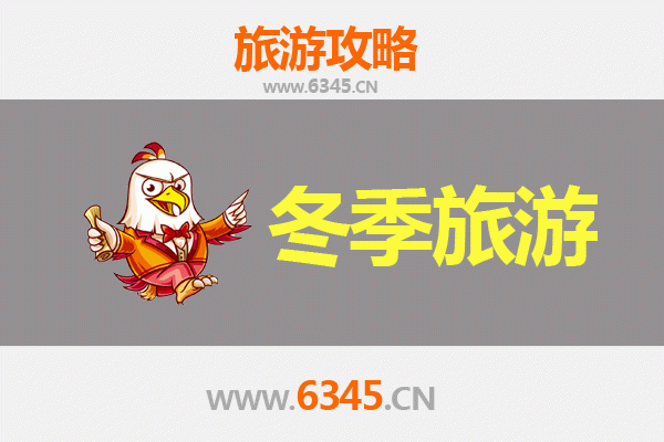 成都青羊区冬季旅游全攻略：古韵与暖冬的完美邂逅